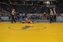 NYS DI- 215lb- FINAL - Donner  vs  Bosch
