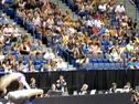 Madison Kocian 2010 US Nationals Day 2 VT