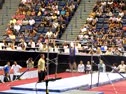 zam bars day 2