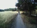 Whiting Ranch & The Luge