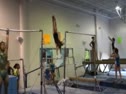 Bridgey Caquatto's  Bar Routine