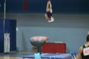 David Sender Windy City Vault