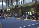 Aerial (Anna Corbitt)