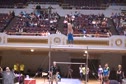 Gym World (Kasey Pagani)