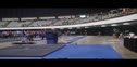 Legacy Elite (Amanda Wellick)