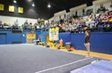 Stanford (Shelley Alexander) - 9.875