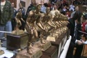 Trophies