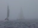 Rumor rounding windward race 7