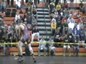 152 - Scott Flowers (Bullock Creek) vs Harley Compagner (Morning Wood)