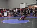 65 LBS - Cade DeVos (Iowa Red) vs Tyler Eischens (Minnesota Gold)