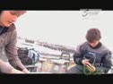 Portland Sailing
