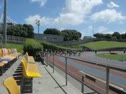 Auckland Athletics Championship 2012 100m first 50m slow motion