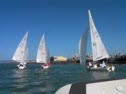 Race 2- Play of the day