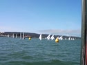 Race 1A - Gate
