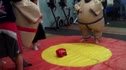 "Battle of the Sumo III" at Paradiso CrossFit