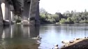 Blair Morrison - Lake Natoma