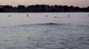 Blair Morrison - Lake Swim and Farmer Walk