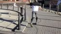 Blair Morrison: The Monument WOD