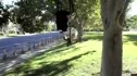 Blair Morrison in Davies Park