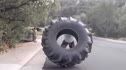 Blair Morrison's 200m Uphill Tire Flip