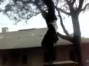 CTRunner Parkour Footage