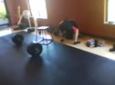 CrossFit's King Kong: