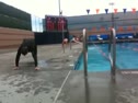 CrossFit IE Swim WOD Part II