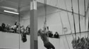 Divided We Fall 2011 Teaser