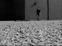 Insular Gym - Thinking Inside the Sandbox