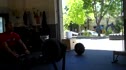 Joey Warren OPT WOD