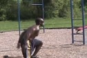 Parkour Strength and Conditioning Workout