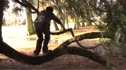 Parkour Training for CrossFit