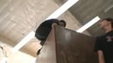 Parkour Vision Gym
