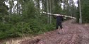 Primal Sprints