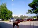 Prowler Training @ CrossFit Munich