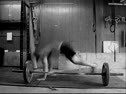 Quick Couplers by Insular Gym