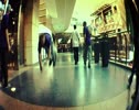 SMOKE STORY PARKOUR TEAM