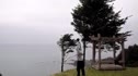 The Shelter Cove Couplet - by Blair Morrison