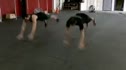 The Superman Pushup