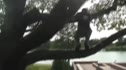 The Trevor Ray Showreel