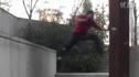The Urban Monkey