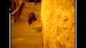 Urban Bulls Parkour Demo