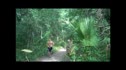Wekiva Springs WOD by CrossFit Evolution