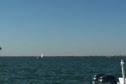 Finish Race 3 Radial Purple