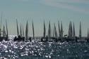 Race 3 Radial Purple Start