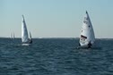 Race 3 Radial Purple Weather Mark