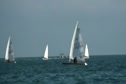 Race 4 Full Rigs Upwind