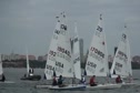 Race 5 Purple Radial Start
