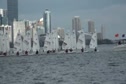 Radial Race 5 Gold