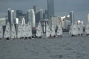Radial Race 5 Start Purple